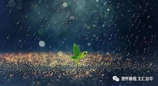 “求不得”是苦，压抑欲望“不求”亦苦，面对生活，求是不求？（文汇自华篇）