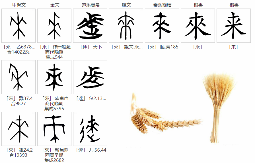 甲骨文趣考——来