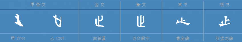 站在前人肩头的环伺而动