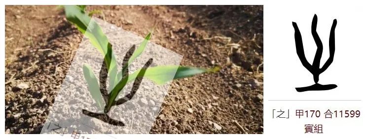 合理“之”推理并不等于事实“之”模样