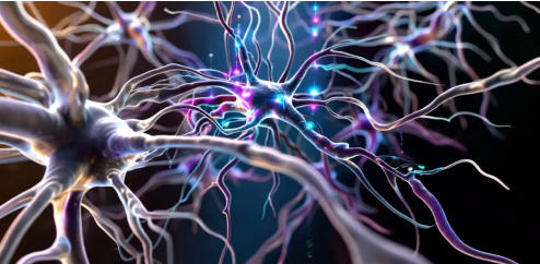 心智系统（意识+潜意识）的自由意志保卫战 ——拉普拉斯妖无法掌控人类宿命（伯凡杂谈 16）