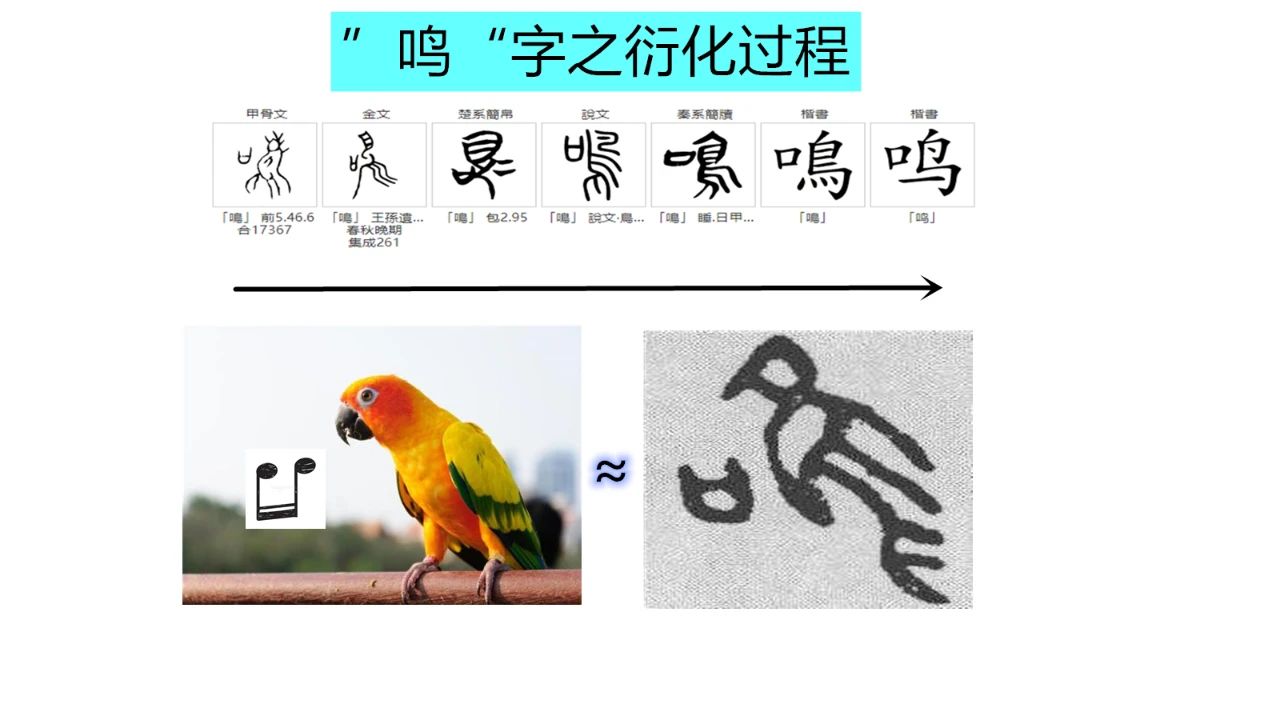 甲骨文趣考——六书智慧（4）会意