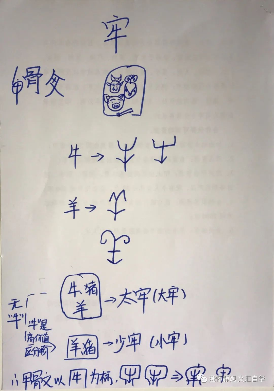 甲骨文趣考——牢